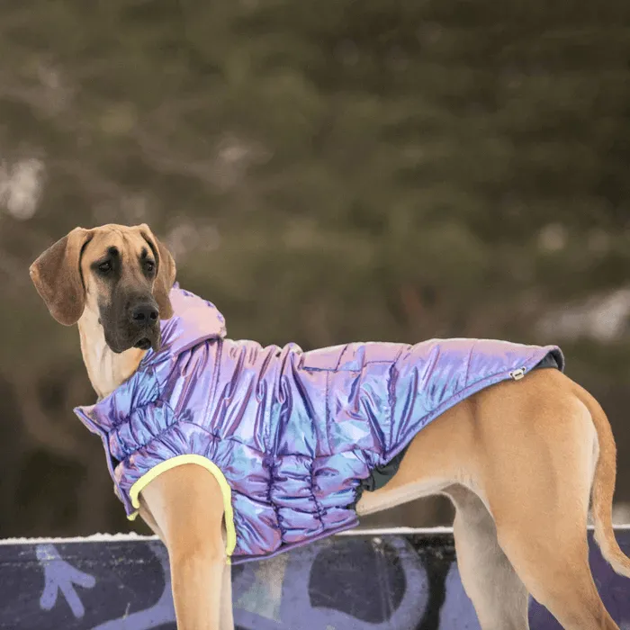 GF Pet Recycled Parka Iridescent For Dogs